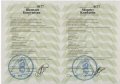 Шепелев Константин Евгеньевич