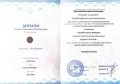 Алексеева Екатерина