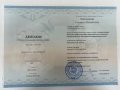 Решетникова Елизавета