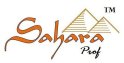 Sahara-prof