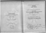 Мишиев Артур Годович