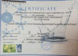 Полякова Инна Викторовна