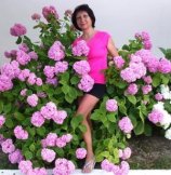 Ерёменко Галина