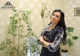 Комарова Екатерина
