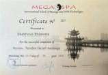 Литвинова Елизавета Дмитриевна