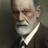 Питель Дмитрий Андреевич