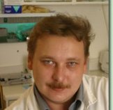 Резвый Алексей Ростиславович