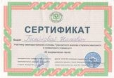 Косаченко Натаван