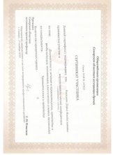 Киселева Дарья Владиславовна