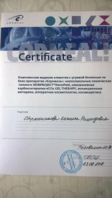Стрельникова Камилла Рашидовна