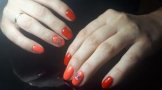 Кисель Екатерина