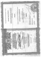 Раднаева Эржени Аюровна