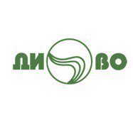 Диво