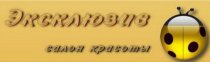 Эксклюзив (Стасова)