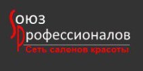 Союз профессионалов (Онежская)