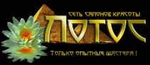 Лотос на Дзержинского