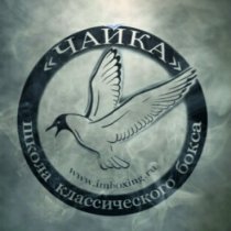 Чайка